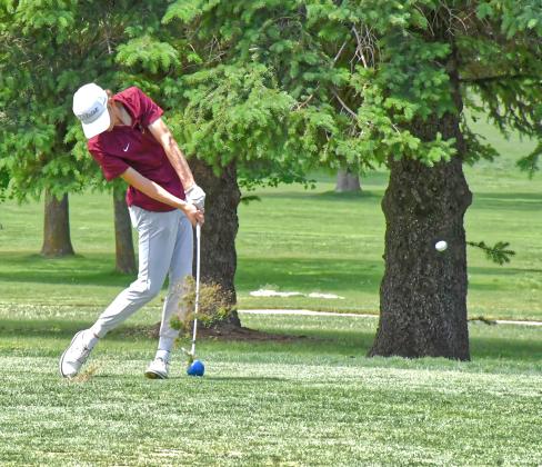 Bearcats golfers finish season strong at state