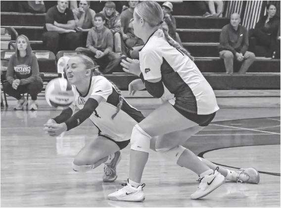 Elise Aker (3) dives for the ball in front of Gracia Althoff (15) during Waubay/Summit’s 3-0 match win over Wilmot Oct. 14 in Summit. Set scores for the match were 25-19, 25-15 and 25-16. Reporter &amp;amp; Farmer \\ Amanda Dulitz