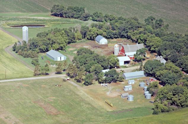 An aerial photo of his grandfather’s farm brought back an unexpected memory for Kevin Cantine. When he looked at the image from Dave’s Aerial Color Photos of his grandfather Alex Kampa’s farm north of Grenville, he spied lines mowed in the grass where he used to practice kicking for his football team. Reporter &amp;amp; Farmer | Subscriber snapshot