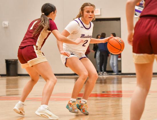 Addison Bronson (2) of Waubay/Summit Mustangs looks for an opening during the Mustangs 42-57 loss to Milbank Bulldogs Jan. 20 in Summit. The loss was Waubay/ Summit’s first since Dec. 20 and moved them to a season record of 8-2. Reporter &amp;amp; Farmer | Leyton Beardslee