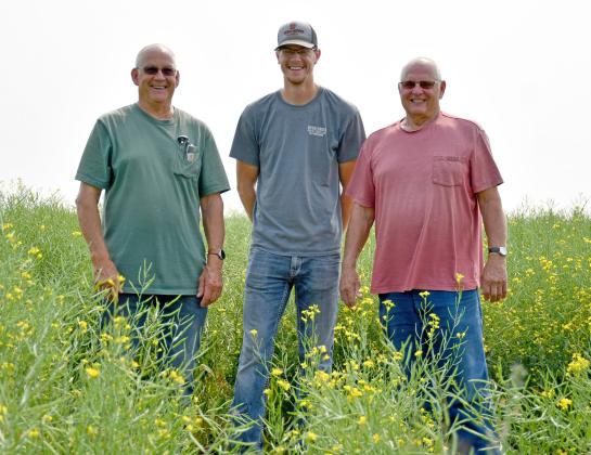 Standing in one of their fields of canola are Glenn Flattum, Gannon Florey and Butch Flattum in rural Bristol. Reporter &amp;amp; Farmer | Annie Witt