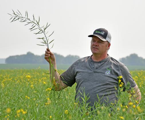 Shane Nashlund a canola agronomist holds up a canola plant and explains its biology during a presentation last week at Glenn and Butch Flattum and Gannon Florey’s field in rural Bristol. Reporter &amp;amp; Farmer | Annie Witt