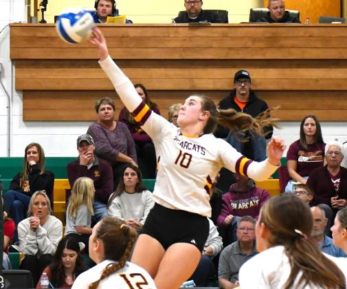Mallory Steiner (10) of Webster Area takes a swing at the ball during the Bearcats 3-0 match win over Sisseton Redmen Nov. 4 in Aberdeen. Set scores for the match were 25-18, 25-16 and 25-22. Reporter &amp;amp; Farmer | Connor Handrahan