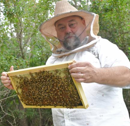 Webster hobbyist beekeeper Clark Audiss holds a frame of honeycomb from one of his bee boxes around Webster July 15. This year was Audiss’ first time having his own hives, though as a kid his first job was at an apiary as a honey extractor. Reporter &amp;amp; Farmer | Leyton Beardslee
