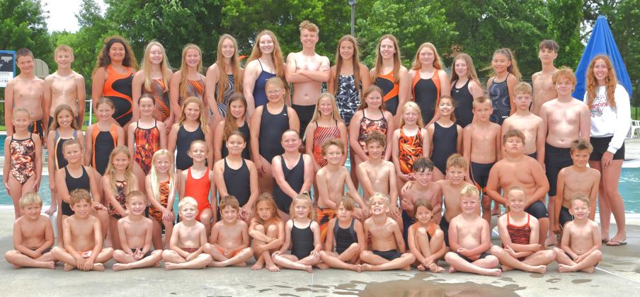 Alt Text for Image