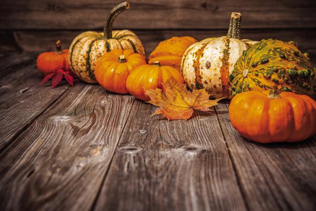 Pumpkin Fest returns for 26th year of autumn themed fun
