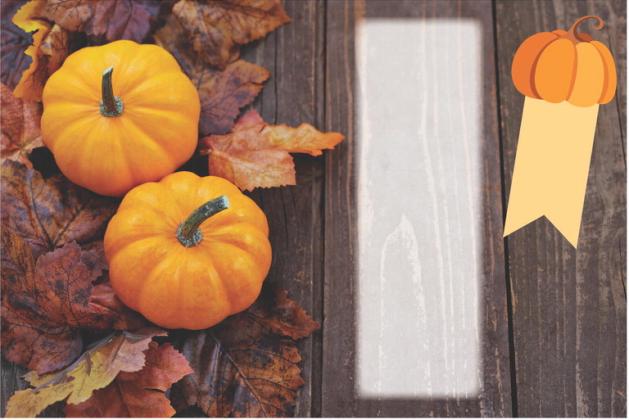 Pumpkin Fest returns for 26th year of autumn themed fun