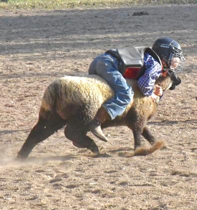 Grady Pedersen participates in the mutton riding during the ranch rodeo at the Day County Fair Aug. 7. Pedersen was named the champ of mutton riding, staying on his sheep for 23.3 seconds. Reporter &amp;amp; Farmer | Connor Handrahan