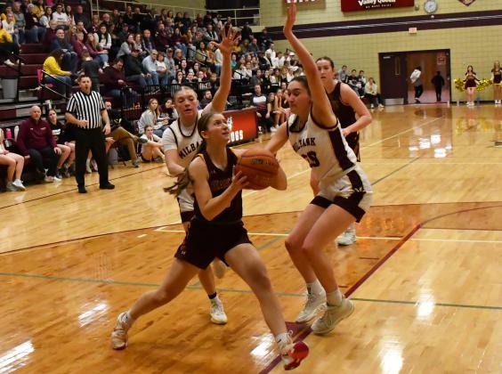 Webster Area girls basketball traveled to Milbank to face the Bulldogs in a first round matchup in the 1A regional bracket which Webster Area lost 28-63. Here, Chloe Mammenga (5) atempts to drive past Milbank defenders Isabella Anderson (5) and Claire Snaza (20). Reporter &amp;amp; Farmer | Brenner Cariveau