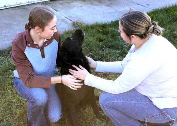 Webster Area sophomores Macee McGregor, left, and Bentley Miotke play with a dog. They were finalists for the BIG Idea competition with their theoretical business, Pretty Paws Staycation. They were one of eight finalists in the competition. Reporter &amp;amp; Farmer | Subscriber snapshot