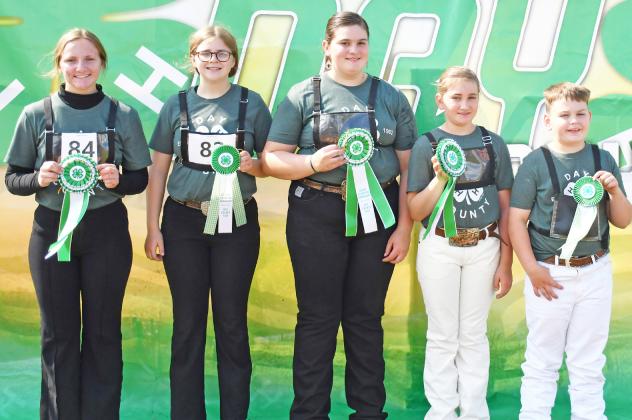 Best of show, judge’s choice
