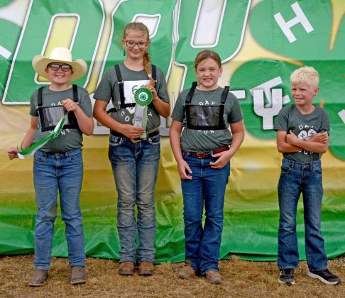 Best of show, judge’s choice