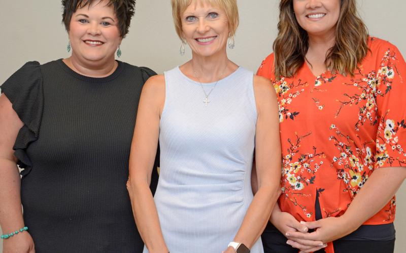 Holscher celebrates retirement, Waubay clinic crew prepares