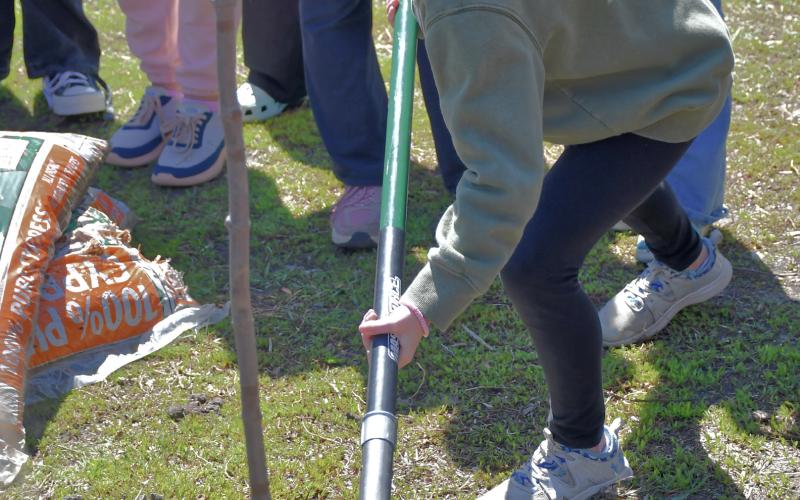 Fourth grader Hayden Letcher helps plant a tree as part of an Arbor Day presentation at Webster Area Elementary May 2. The fourth grade class learned about trees and their importance before planting one in the playground area. Reporter &amp;amp; Farmer | Leyton Beardslee