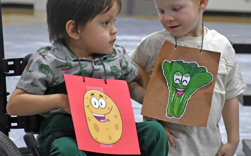 Theodore Rencountre and Grady Olson illustrate the heart of the song “Friends Forever” which was sung at the conclusion of the Waubay Elementary spring concert April 10. Students linked arms in a show of unity. This year’s concert theme was “How Does Your Garden Groove.” Reporter &amp;amp; Farmer | Amanda Dulitz Garden groovers