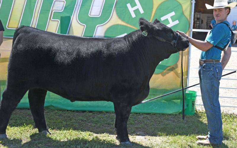 Caleb Gaikowski poses with his grand champion market beef at the Day County Fair Aug. 9. Reporter &amp;amp; Farmer | Amanda Dulitz
