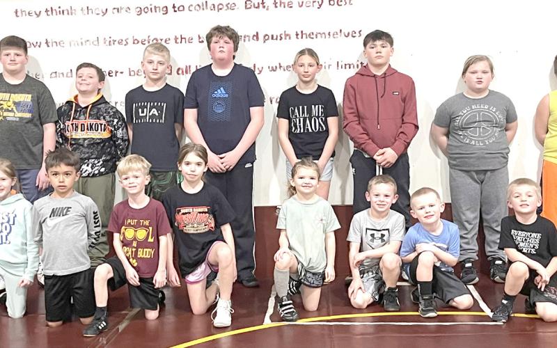 Webster Area AAU wrestlers competed in the District 7 wrestling tournament in Clear Lake March 8. All wrestlers advanced to compete in the Region 4 Wrestling Tournament March 15 in Brookings. From back left, Jett McClurg, Kane Baumgarn, Abel Bloom, Jaxson Hansen, Bryson Johnson, Ava Niles, Karstyn Schlechter, Emerie Schlechter, Hunter Fellbaum. Front left, Adeline Johnson, Camden Pool, Camdyn Huffman, Finley Marko, Mila Mays, Theodore Ure, Hayes Spiering, River Marko. Those who also made it to regions not p