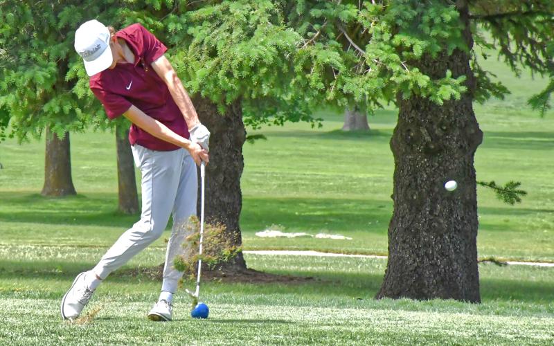 Bearcats golfers finish season strong at state