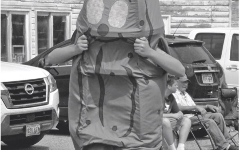 In the spirit of the weekend, someone dressed as a pickle walked in the parade at Vinegar Festival June 15. Reporter &amp;amp; Farmer \\ Luke Caputo