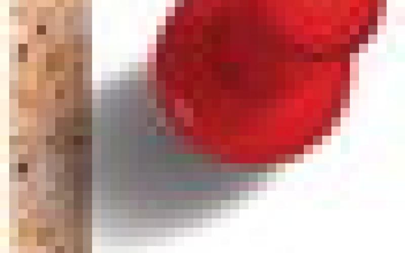 Alt Text for Image