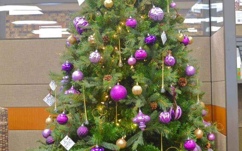 Dacotah Bank, CorTrust Bank and First Interstate Bank are participating in the 30th annual Spirit of Christmas taking place in December. Participants choose a tag and then donate a present for less fortunate children in the Webster area. Reporter &amp;amp; Farmer | Connor Handrahan