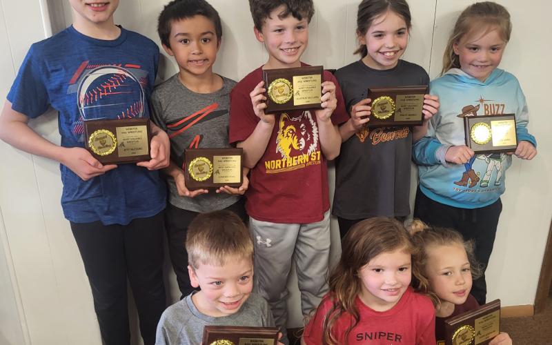 AAU wrestling awards