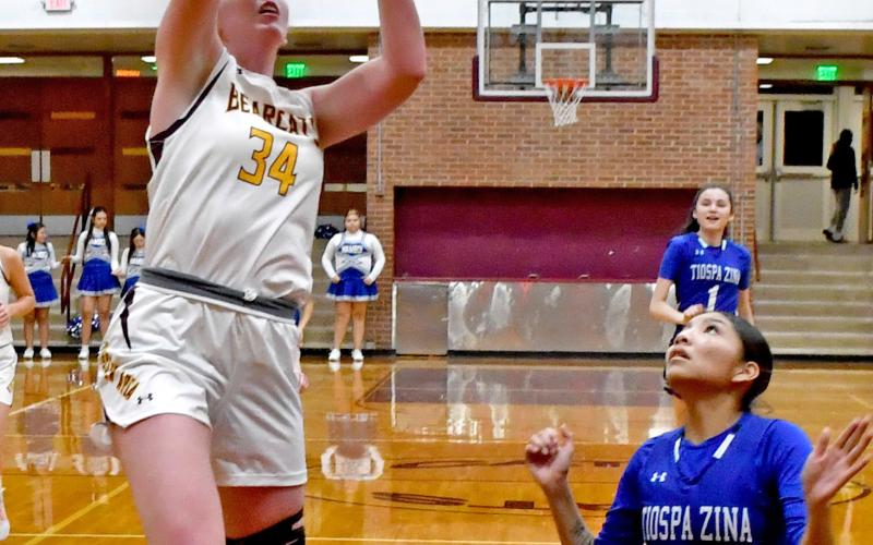 Webster Area Bearcat Erin Sannes goes up for a basket against the Tiospa Zina Wambdi Jan. 7, adding 20 points for her team. Sannes was the leading scorer for the night, helping her team to victory of 51-43. Reporter &amp;amp; Farmer | Brenner Cariveau
