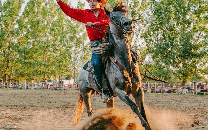 Lyndon Bluedog of Waubay competes in the sorting event with his team War Party at the ranch rodeo during the Day County Fair Aug. 8. The competition holds four main events, team sorting, team doctoring, team penning and a trailer relay. Reporter &amp;amp; Farmer | Leyton Beardslee