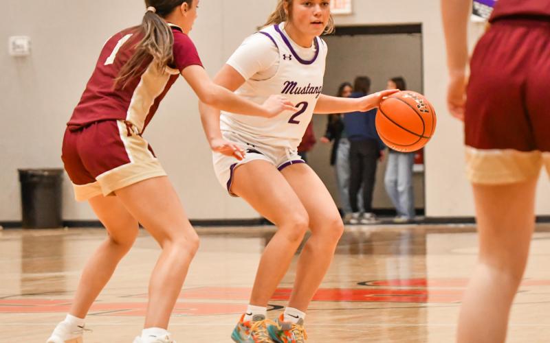 Addison Bronson (2) of Waubay/Summit Mustangs looks for an opening during the Mustangs 42-57 loss to Milbank Bulldogs Jan. 20 in Summit. The loss was Waubay/ Summit’s first since Dec. 20 and moved them to a season record of 8-2. Reporter &amp;amp; Farmer | Leyton Beardslee