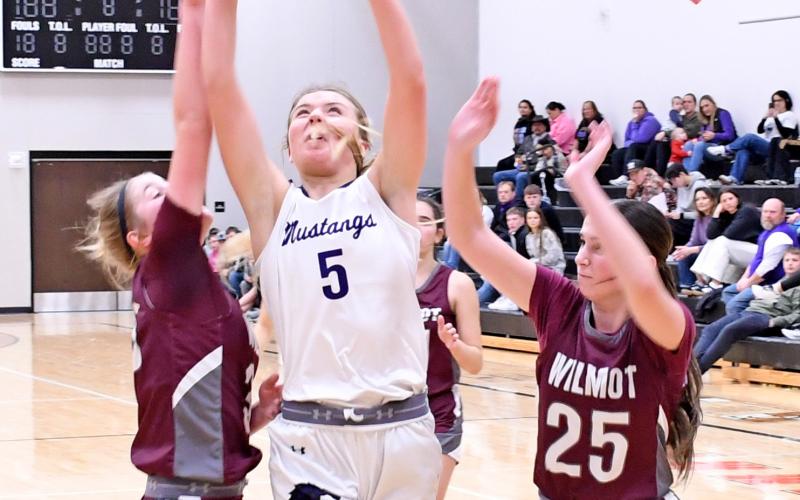 Waubay/Summit Mustang Liza Purdy goes up for a basket Jan. 11 against the Wilmot Wolves in a double header at Summit. No stats were made available for the game by press deadline. The Mustangs won 61-57. Reporter &amp;amp; Farmer | Robert Dulitz