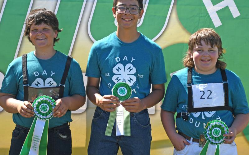 Showmanship champions for the 4-H dairy goat category were, from left junior grand champion Beau Hemmingson, junior reserve grand champion Kason Garduno and beginner grand champion Henry Paulson. Reporter &amp;amp; Farmer | Amanda Dulitz