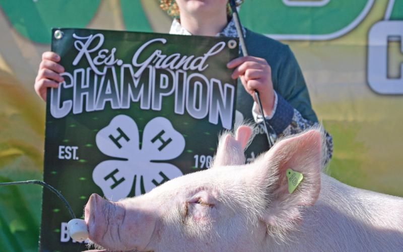 Reserve grand champion for breeding swine went to Delaney Atherton Aug. 9 at the Day County Fair. Reporter &amp;amp; Farmer | Annie Witt