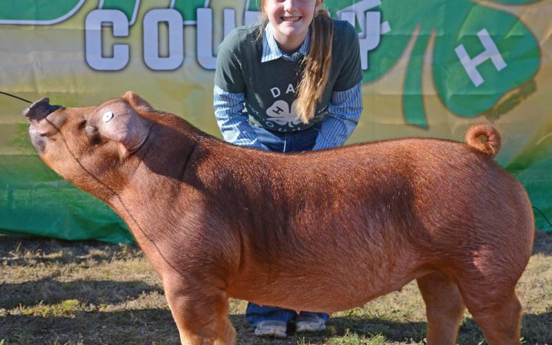 Mackenzie Atherton received grand champion for breeding swine Aug. 9 at the Day County Fair. She also received grand champion for breeding sheep ewe and reserve champion for market meat goat. Reporter &amp;amp; Farmer | Annie Witt