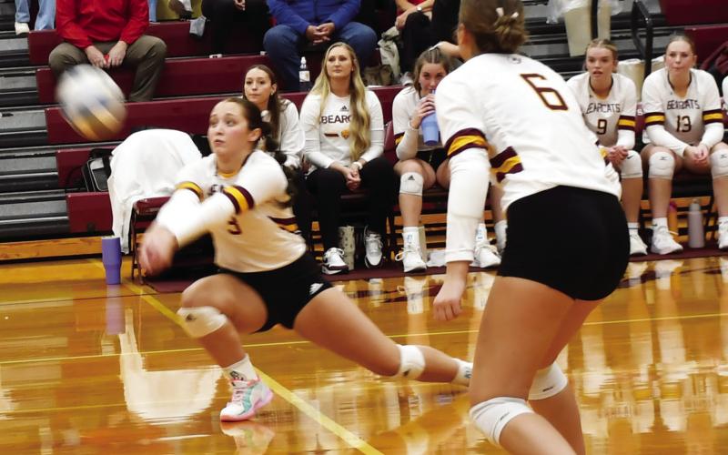 Webster Area Bearcats hosted the Britton-Hecla Braves Nov. 5 in the first round region matchup. Here, Harley Johnson (3) leans forward to hit the ball while her teammate Allison Case (6) watches closely. Reporter &amp;amp; Farmer | Brenner Cariveau