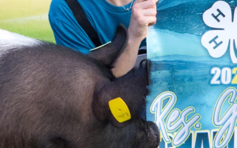 Allison Meland pictured with her reserve champion market swine also won breeding swine reserve champion at the Day County Fair Aug. 7. Reporter &amp;amp; Farmer | Leyton Beardslee