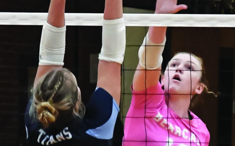 Karli Sannes (12) of Webster Area hits the ball over Kalyce Achen (3) of Leola/Frederick Area during the Bearcats 3-0 match win over the Titans Oct. 6 in Webster. Set scores for the match were 25-11, 25-21 and 25-16. Reporter &amp;amp; Farmer | Amanda Dulitz