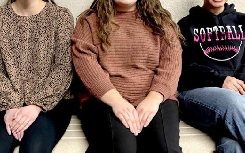 Webster American Legion Auxiliary’s Girls State representatives are, from left, Chloe Mammenga, Kelsie Fischer and Jocelyn Rumpca. Girls State will be the first week of June at USD. Reporter &amp;amp; Farmer | Subscriber snapshot
