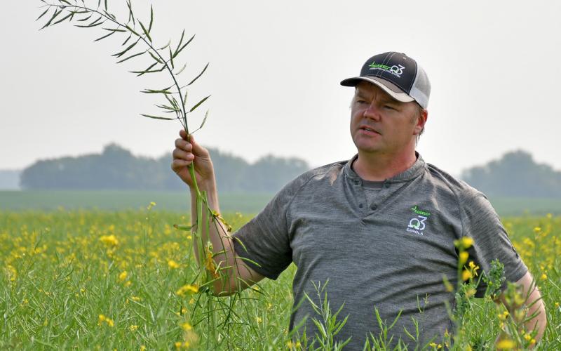 Shane Nashlund a canola agronomist holds up a canola plant and explains its biology during a presentation last week at Glenn and Butch Flattum and Gannon Florey’s field in rural Bristol. Reporter &amp;amp; Farmer | Annie Witt