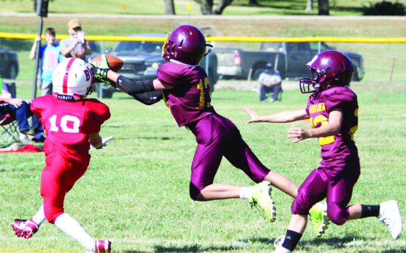 Reporter &amp; Farmer | Subscriber Snapshot Webster Area youth football returned to action Sept. 28 in Roslyn with a triangular slate of games between Florence- Henry and Britton-Hecla. Six total games were played between the three teams. Here, Cooper Gangle (13) dives to make a swooping interception while Tucker Aadland (22) is trailing the Britton Hecla receiver.