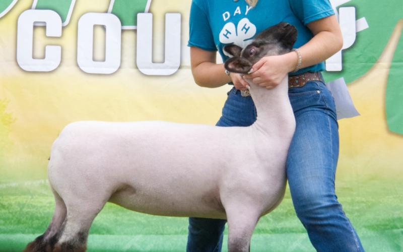 Mackenzie Atherton, pictured with her grand champion breeding ewe, also won reserve champion breeding ewe, reserve overall champion market lamb and overall grand champion market swine at the Day County Fair Aug. 8. Reporter &amp;amp; Farmer | Leyton Beardslee