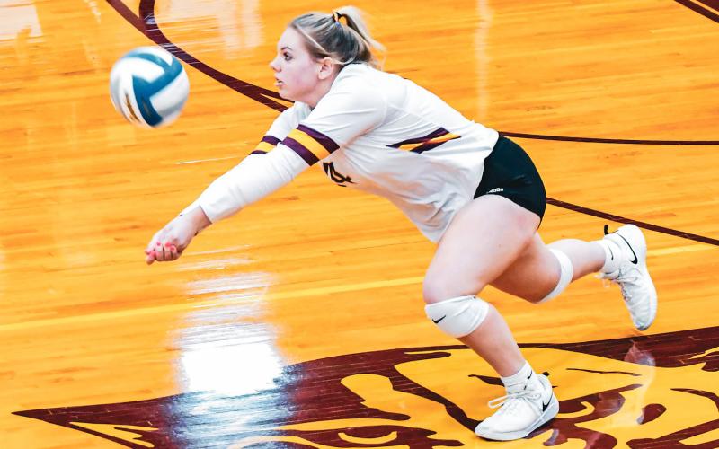 Kelsey Braun dives for the ball during Webster Area’s 3-0 match win over Waubay/Summit Oct. 28 in Webster. Set scores for the match were 25-21, 25-18 and 25-18. Reporter &amp;amp; Farmer | Leyton Beardslee