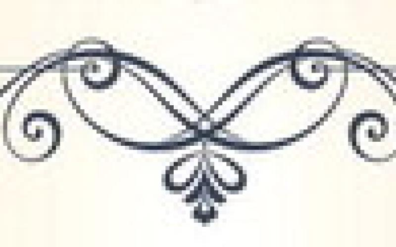 Alt Text for Image