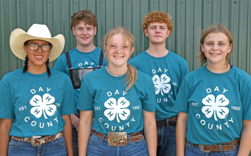 Large animal round robin participants were, from left, Cante Hill, Caleb Gaikowski, grand champion Mackenzie Atherton, Delaney Atherton and Makayla Meland. 4-Hers took turns showing at five different animal stations to showcase their skills with different speices. Reporter &amp;amp; Farmer | Amanda Dulitz