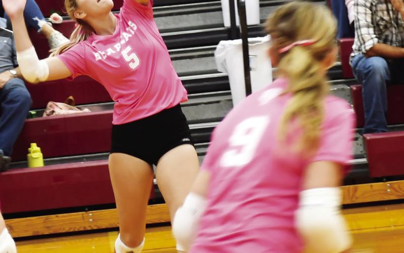 Webster Area Bearcats hosted Aberdeen Christian Knights Oct. 21 at the Webster Armory. Here, Madison Block (5) gears up to spike the ball while her teammate Abby Vander Linden (9) watches closely. The Bearcats lost in 5 sets. Reporter &amp;amp; Farmer | Brenner Cariveau