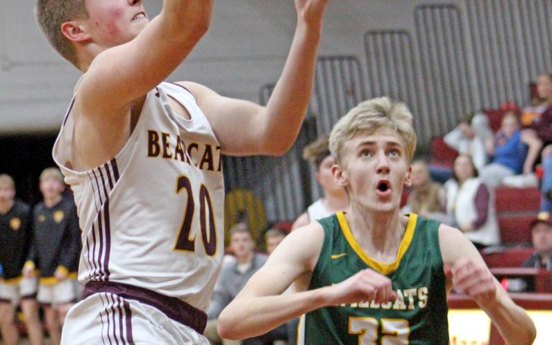 Webster Area Bearcat Michael Dorsett goes up for a basket Feb. 11 at home against Northwestern Wildcat Dallas Stoltenberg. The Wildcats came out the bigger cats on the game, going 66-55. On the night, Dorsett put up two points. Reporter &amp;amp; Farmer | Subscriber snapshot