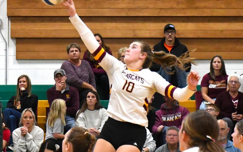 Mallory Steiner (10) of Webster Area takes a swing at the ball during the Bearcats 3-0 match win over Sisseton Redmen Nov. 4 in Aberdeen. Set scores for the match were 25-18, 25-16 and 25-22. Reporter &amp;amp; Farmer | Connor Handrahan