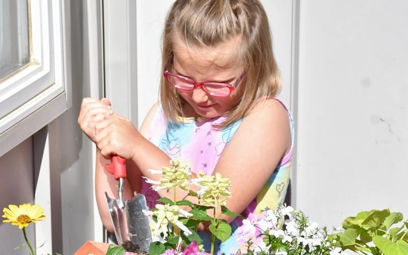 Beatrix Howe helps plant flowers outside the Webster Public Library May 28 in conjunction with the start of the library’s summer reading program which has a “Color Our World” theme. The program is for kindergarten through sixth grade and will run through the end of June. Reporter &amp;amp; Farmer | Leyton Beardslee
