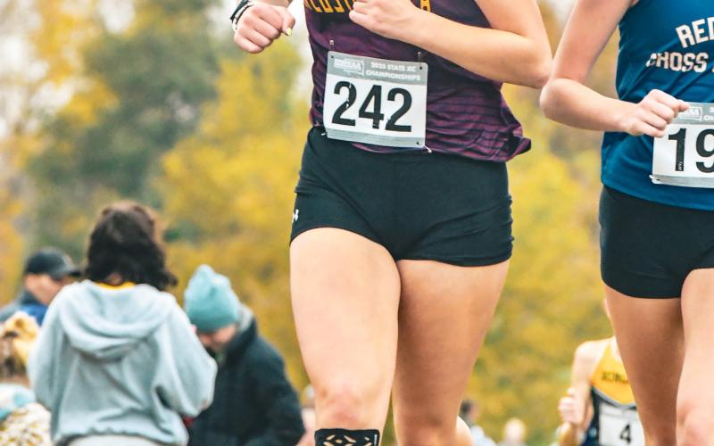 Webster Area cross country runner Hannah Sonstebo competes in the SDHSAA Class A State cross country meet Oct. 25 in Huron. Coach Cheryl McCreary reported Sonstebo crossed the line 101st in 22:29 for the girls 5k but was disqualified for grabbing hands and raising them with another competitor as they crossed the line. Reporter &amp;amp; Farmer | Leyton Beardslee