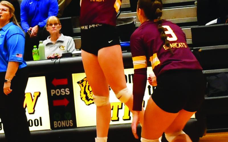 Webster Area Bearcats faced off against Groton Area Tigers Nov. 7 with a spot in the SoDak 16 on the line. Here, Erin Sannes (8) leaps in the air to spike the ball while her teammate Harley Johnson (3) waits in support. The Bearcats ultimately lost the contest in three sets. Reporter &amp;amp; Farmer | Brenner Cariveau