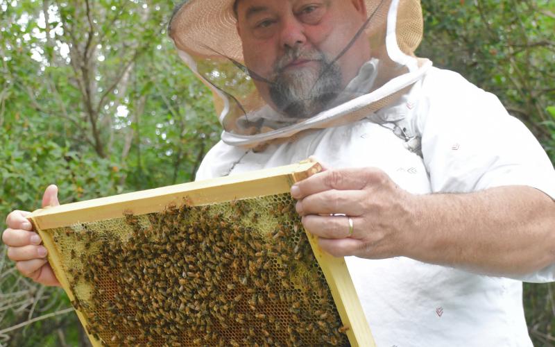 Webster hobbyist beekeeper Clark Audiss holds a frame of honeycomb from one of his bee boxes around Webster July 15. This year was Audiss’ first time having his own hives, though as a kid his first job was at an apiary as a honey extractor. Reporter &amp;amp; Farmer | Leyton Beardslee